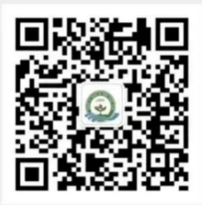 官网公众号